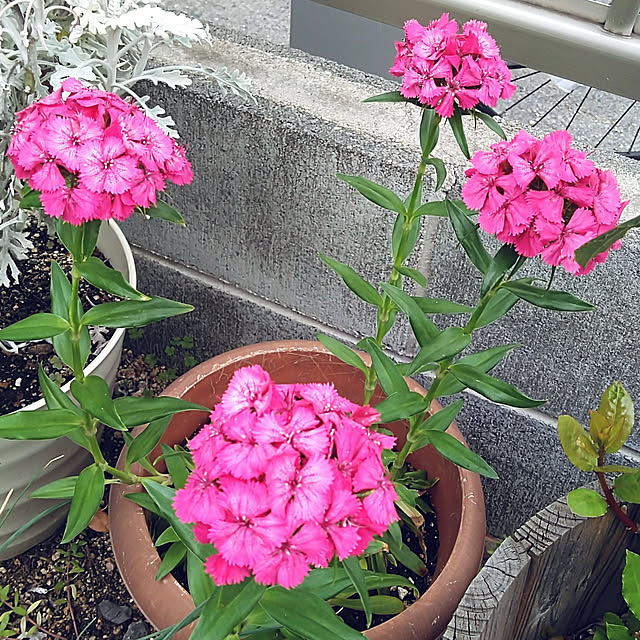 h.t.さんの実例写真