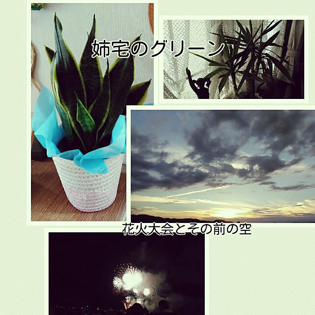 moddocchiさんの実例写真