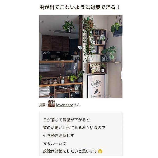 lovepeaceさんの部屋