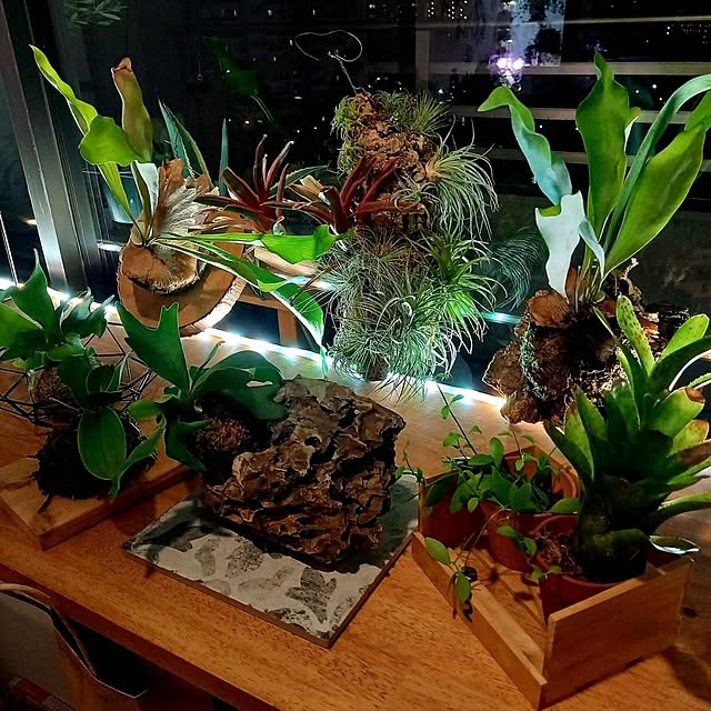 Rさんの部屋