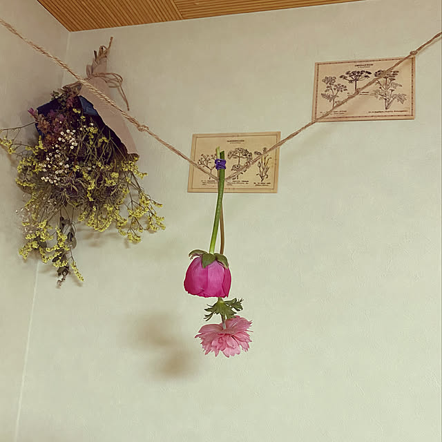 moainanoさんの実例写真