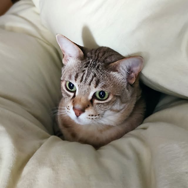 maryさんの実例写真