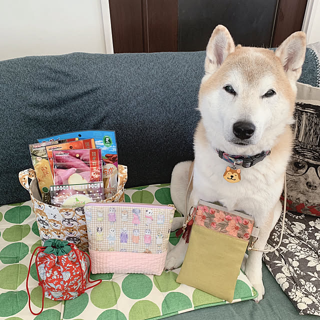 kotatsuさんの部屋