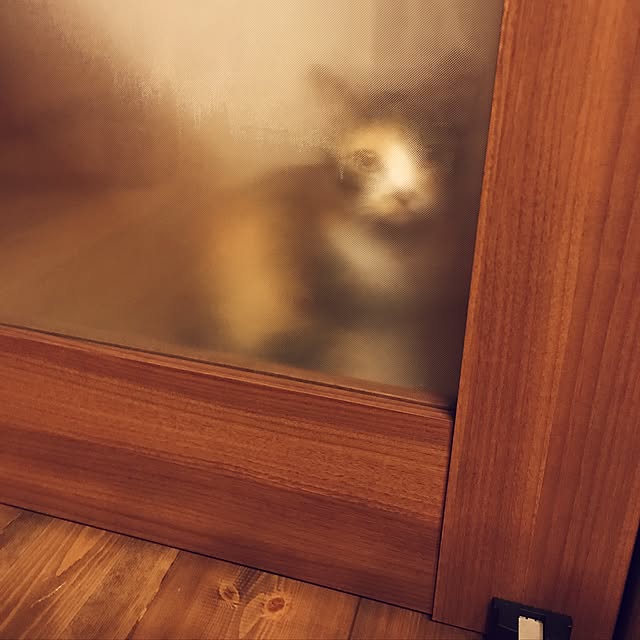 Nozomiさんの実例写真