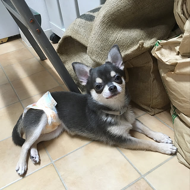 piyoさんの実例写真