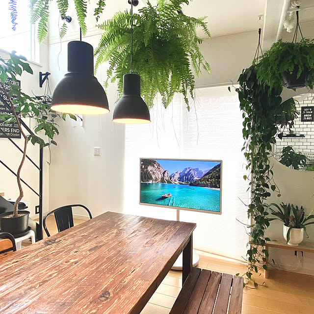 kobami_styleさんの部屋