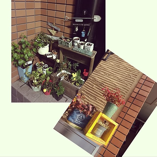 nobuさんの実例写真