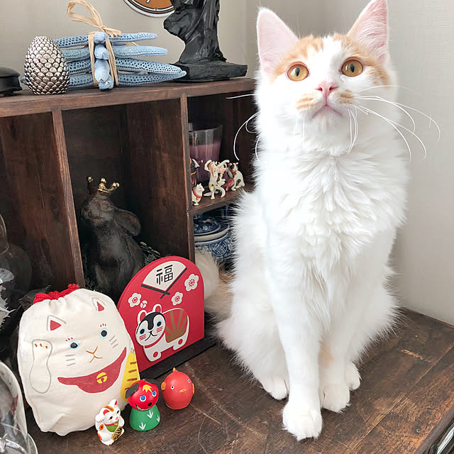 yuchiさんの実例写真