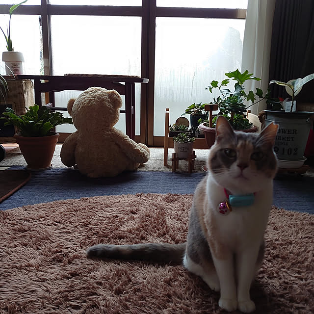 fukuさんの実例写真