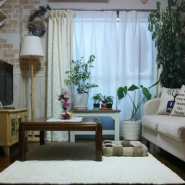 naopyiさんの部屋