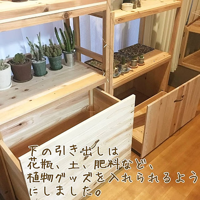 usarou_and_kamekoさんの実例写真