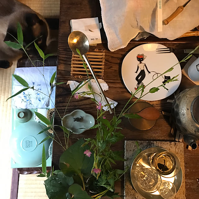 neko-2.2.2runmuさんの実例写真