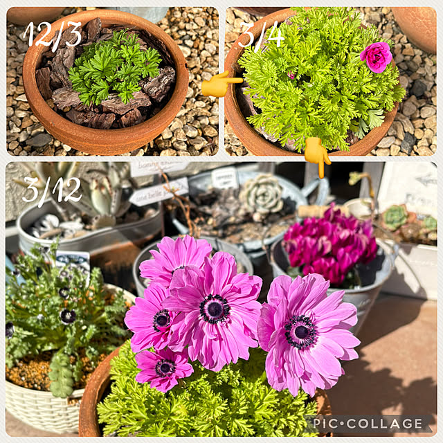 yukkoさんの実例写真