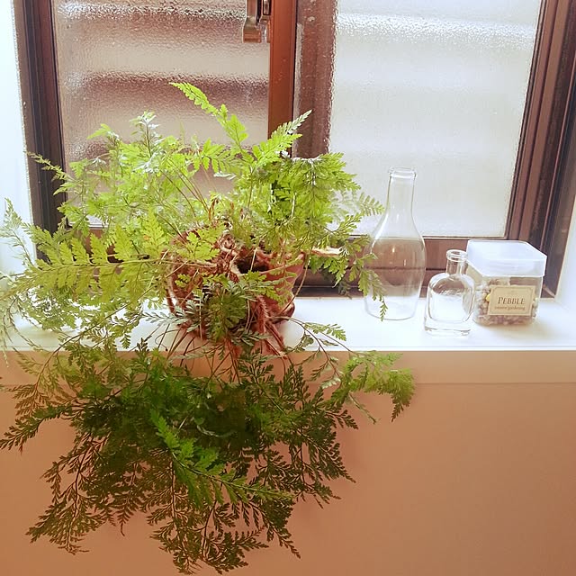 Shiさんの実例写真