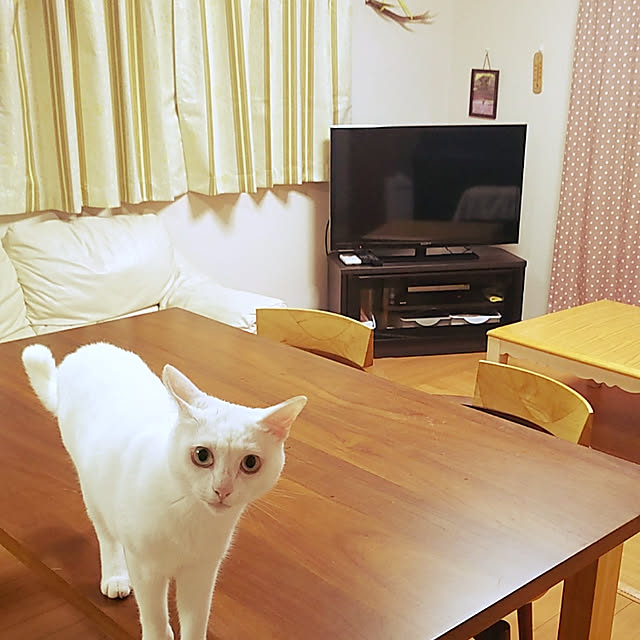 h-a-ri.mamaさんの実例写真