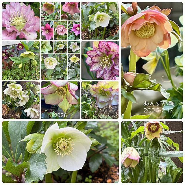 buchiさんの部屋