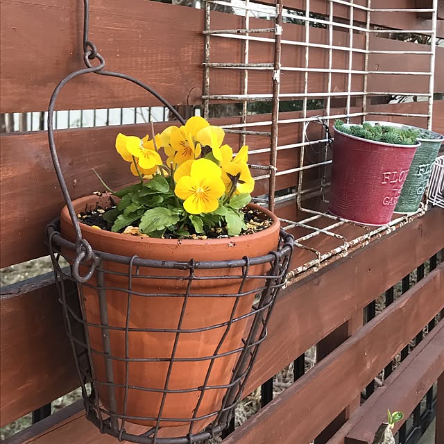 kokko3さんの実例写真