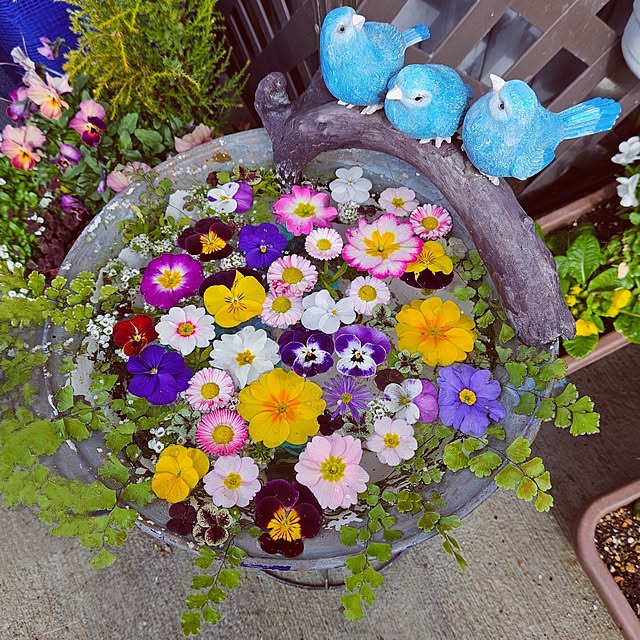 mocomocoさんの部屋