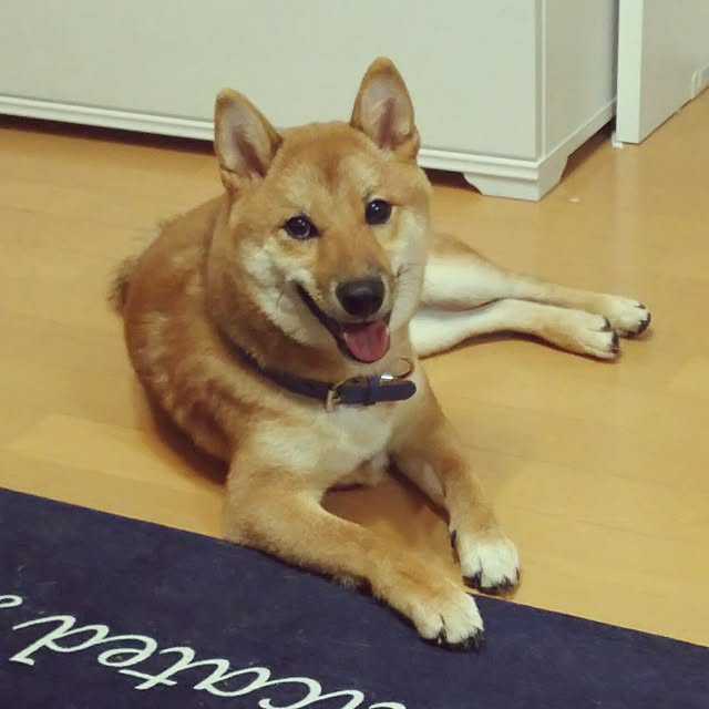 pillowsさんの実例写真