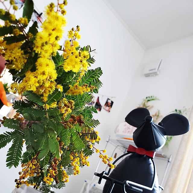 totoroさんの実例写真