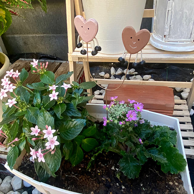 YuuKoさんの部屋