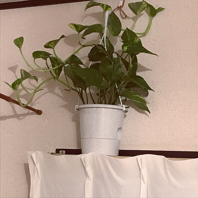SweetRoseさんの実例写真