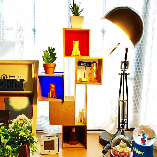 D-styleさんの実例写真