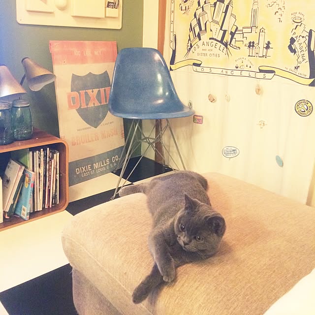 Shojiさんの実例写真
