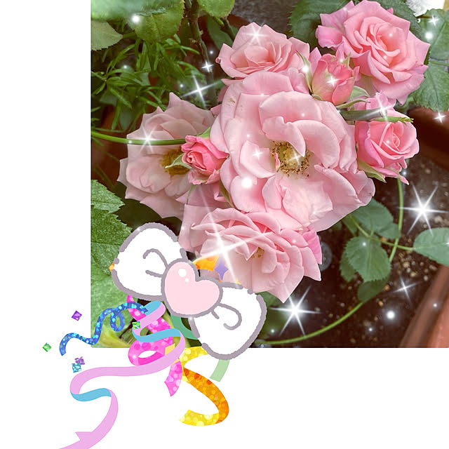 madamkaoriさんの部屋