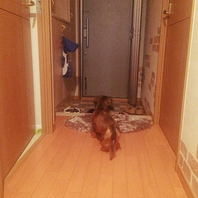 玄関/入り口/犬と暮らす/DIYのインテリア実例 - 2016-10-12 08:15:13