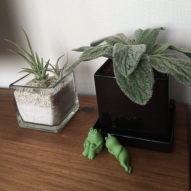 chiさんの実例写真