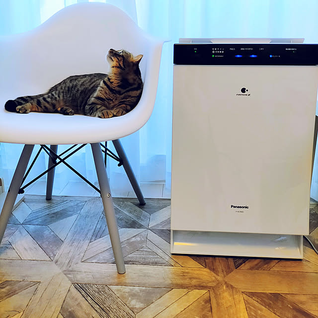 canekoさんの実例写真