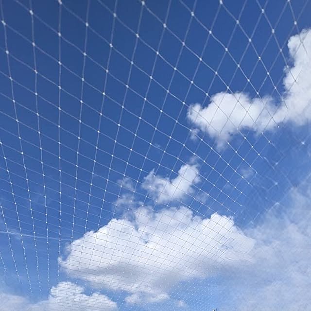 plusgree_shopさんの実例写真