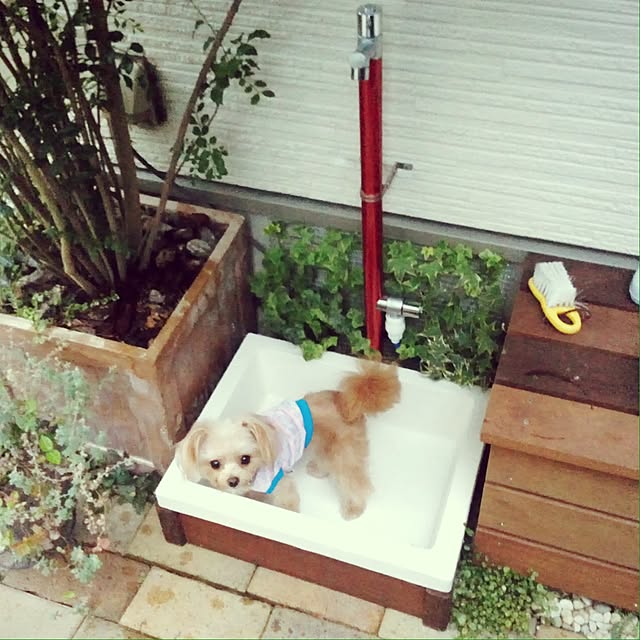 risaさんの実例写真