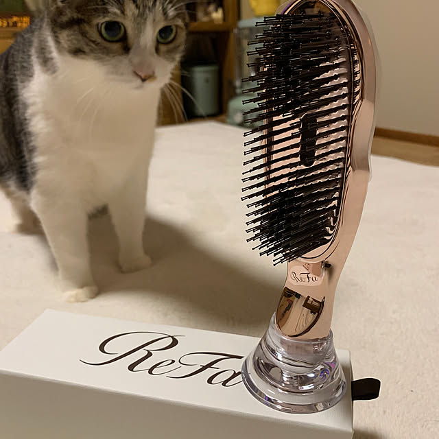 rioさんの実例写真