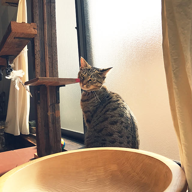 Mさんの実例写真