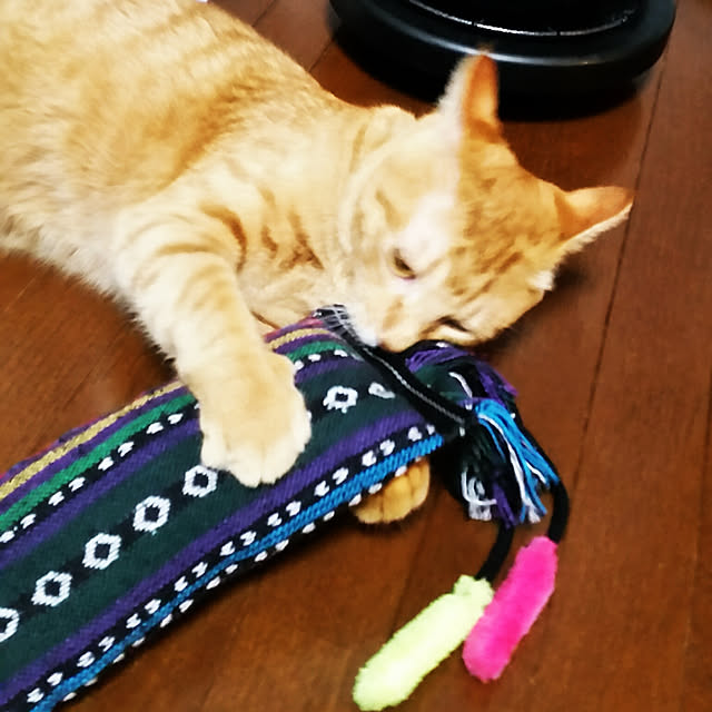 kichiさんの実例写真