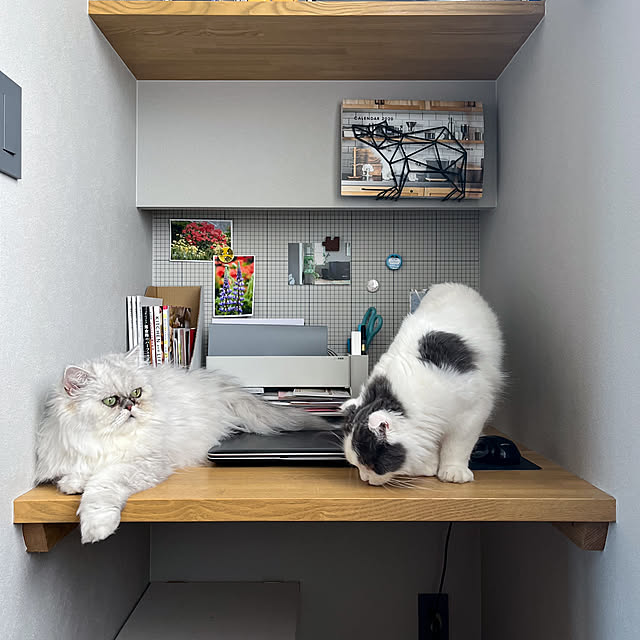 ryoさんの部屋