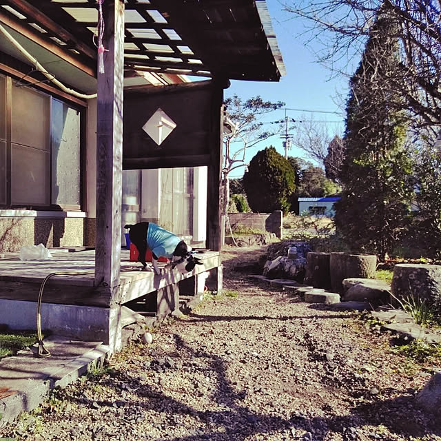 実例写真