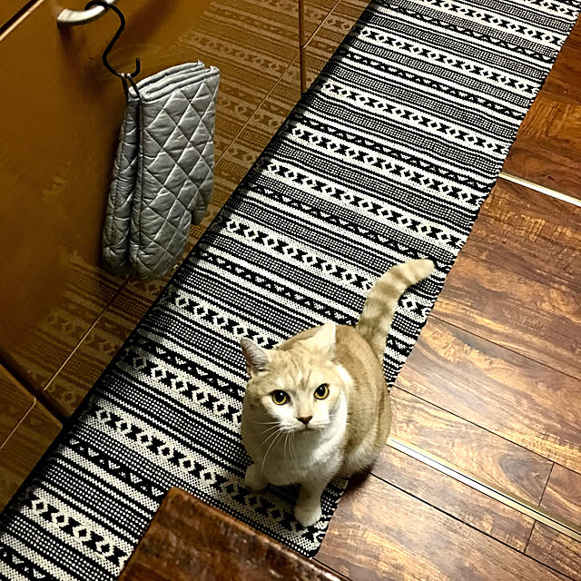 aiaiさんの実例写真