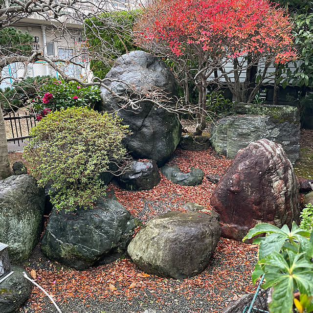 shin0719さんの実例写真