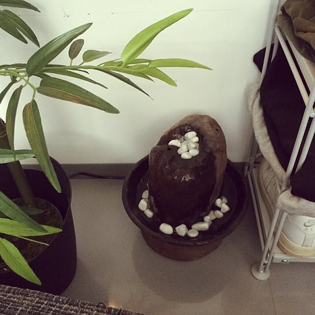 KUSANAGIさんの実例写真