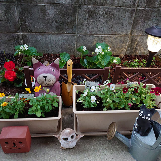 fukuさんの実例写真