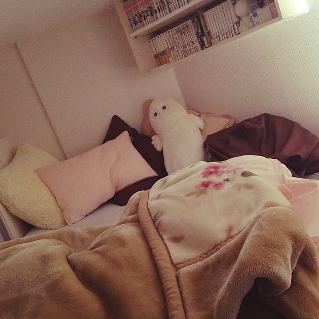 askさんの実例写真