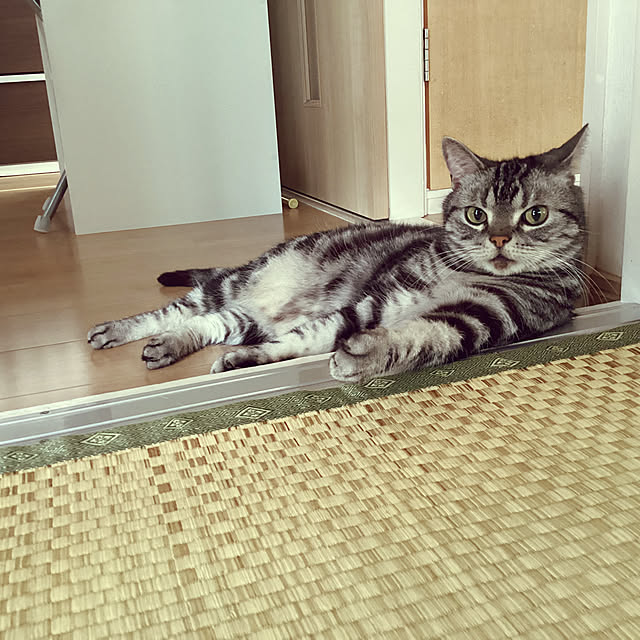 richanさんの実例写真