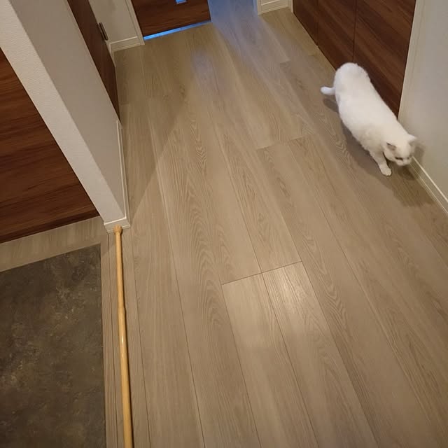 NOAHさんの実例写真