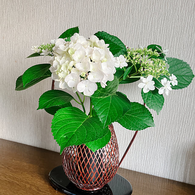 紫陽花/玄関/入り口のインテリア実例 - 2022-06-11 14:41:37