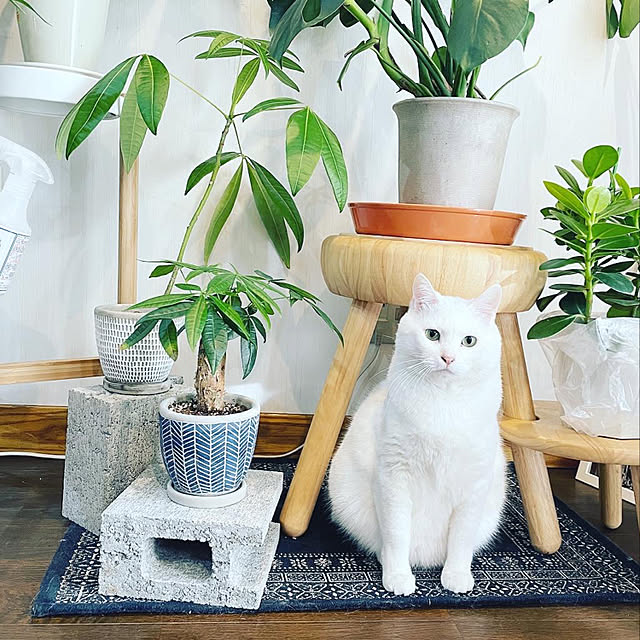 mim.roomさんの実例写真