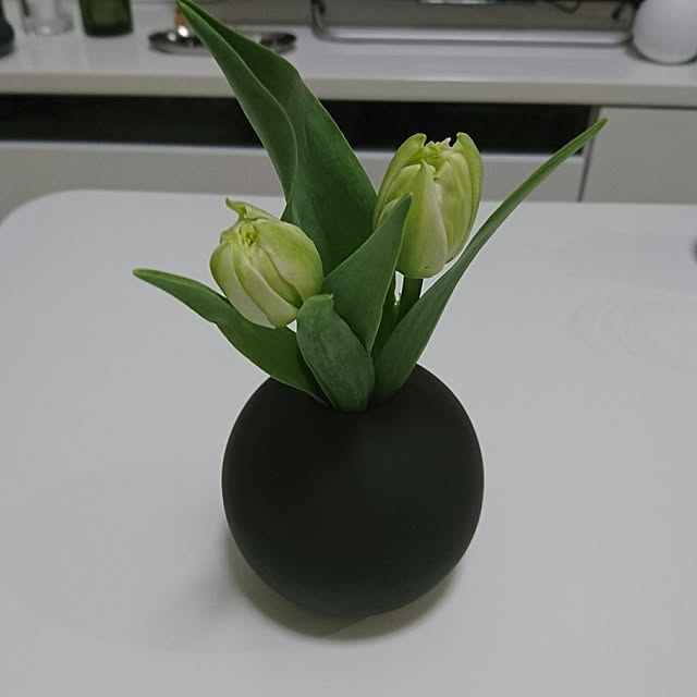 bary.minamiさんの実例写真