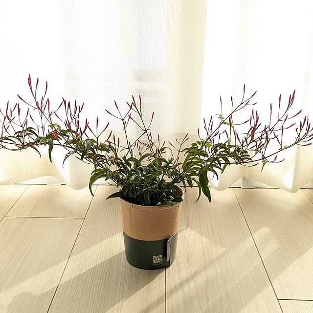 wyefuさんの実例写真